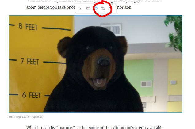 1) Click on your photo, and select the new “cropping” icon.